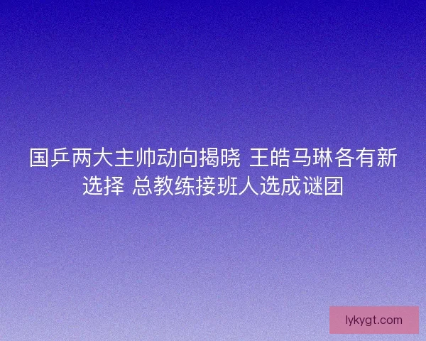 国乒两大主帅动向揭晓 王皓马琳各有新选择 总教练接班人选成谜团